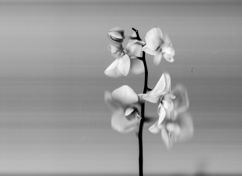 Scanning photography Scanning photography