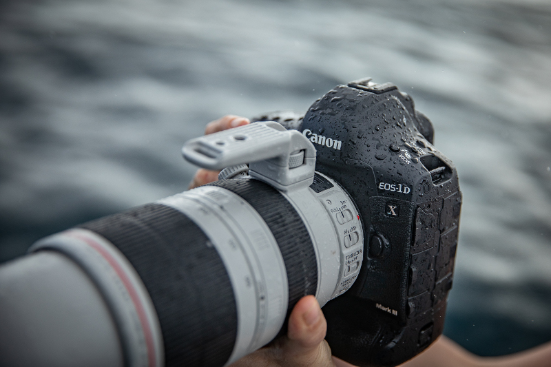 Birding With The Canon Eos 1d X Mark Iii Digital Photography Review