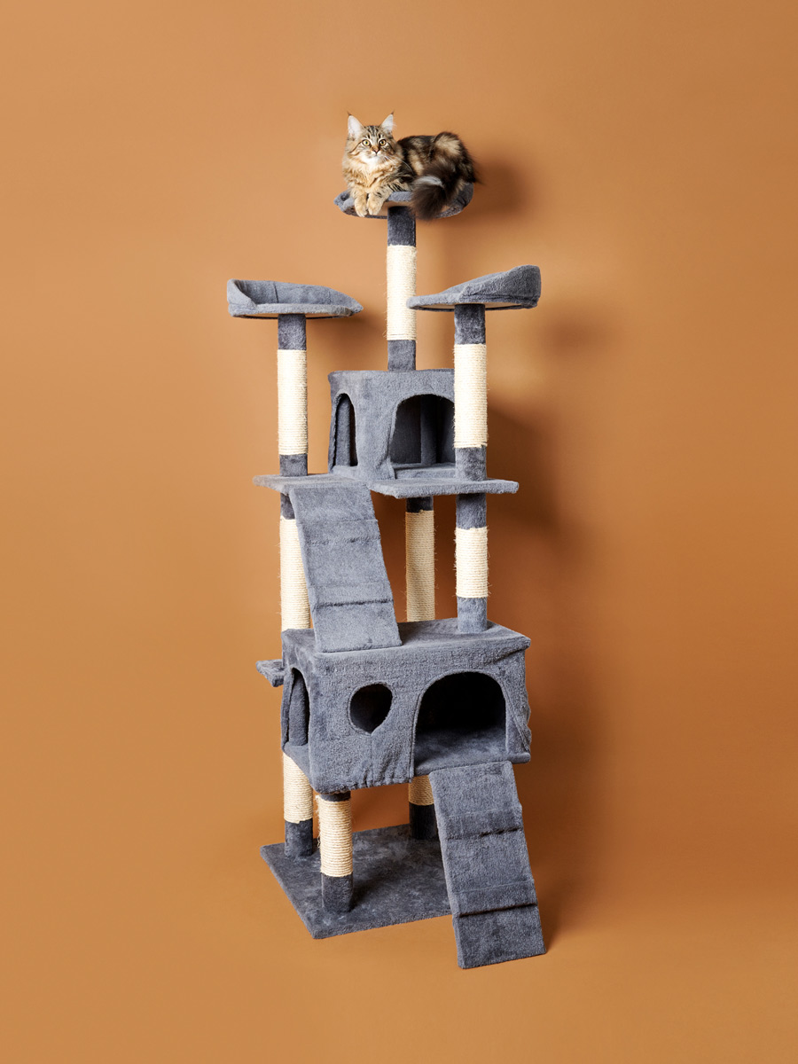 Photo credit: Pascale Weber