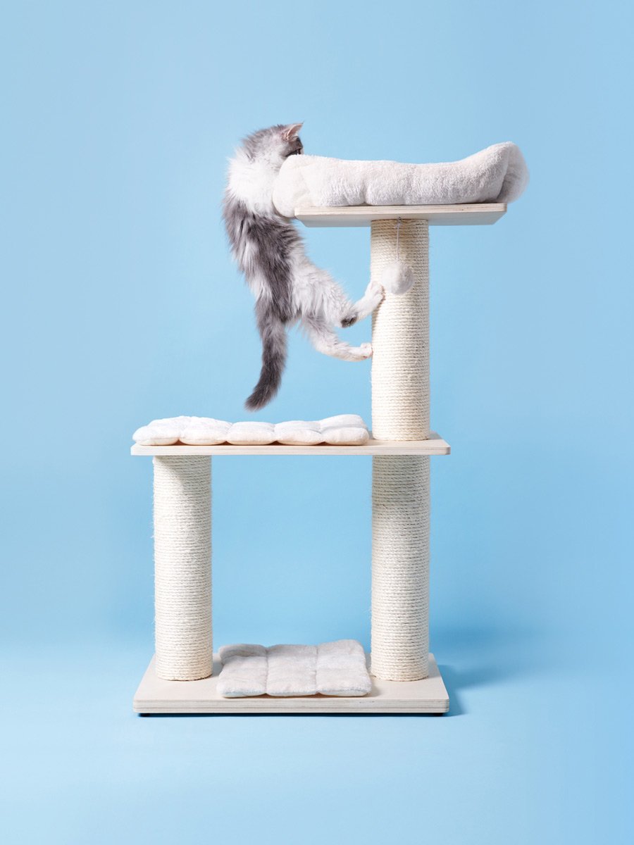 Photo credit: Pascale Weber