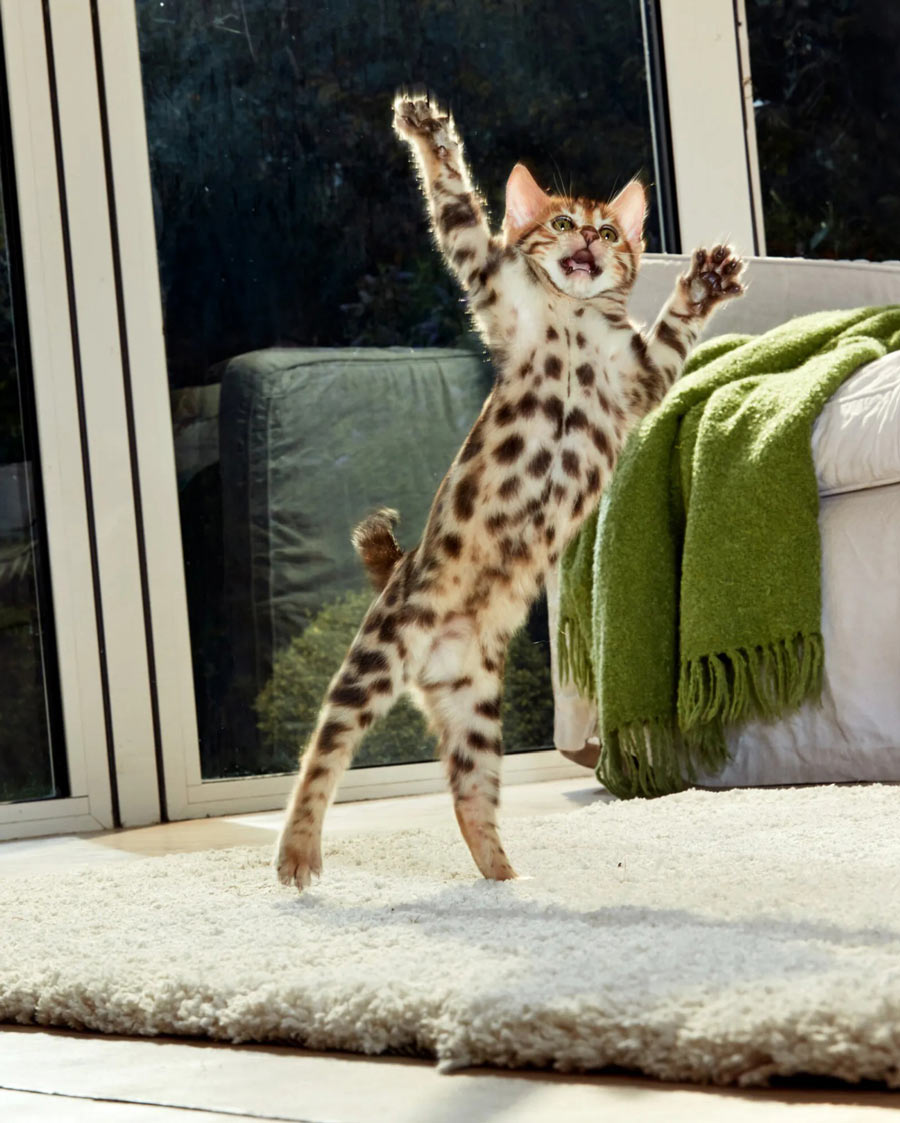 Photo credit: Jo Sax