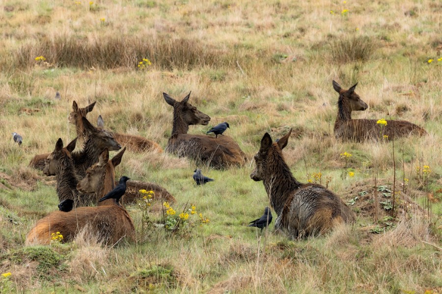 Photo Credit: Ian Howorth - 343mm, f20, 1/40 sec, ISO 1250