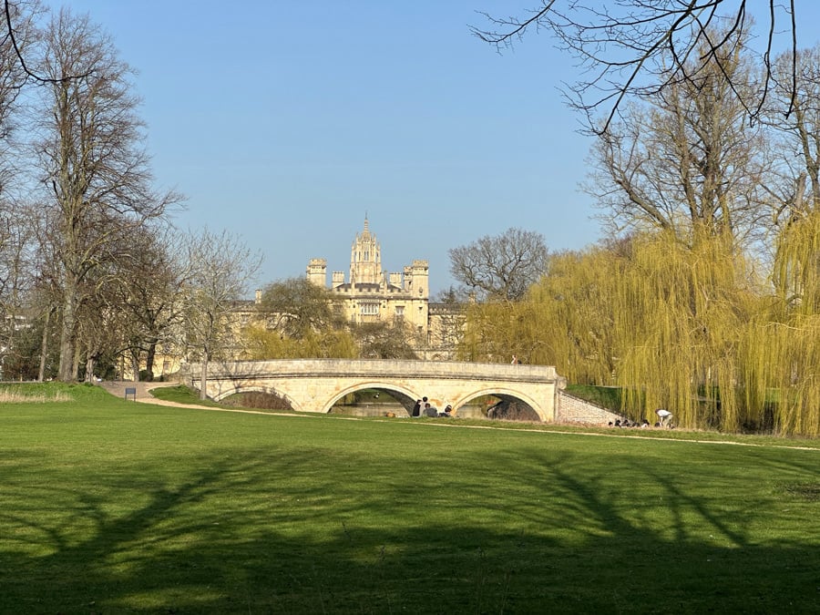 Comparing image detail on an iPhone