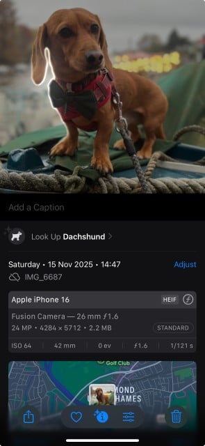 Visual Look Up AI feature