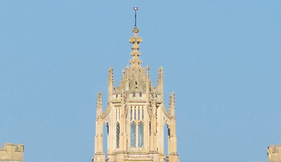 Comparing image detail on an iPhone