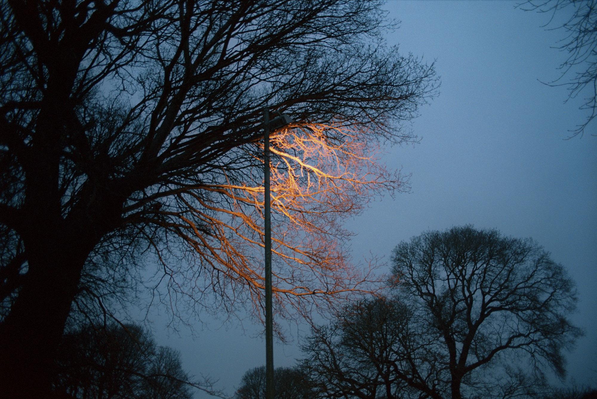 Image from article titled: Should Canon and Nikon return to their film roots?