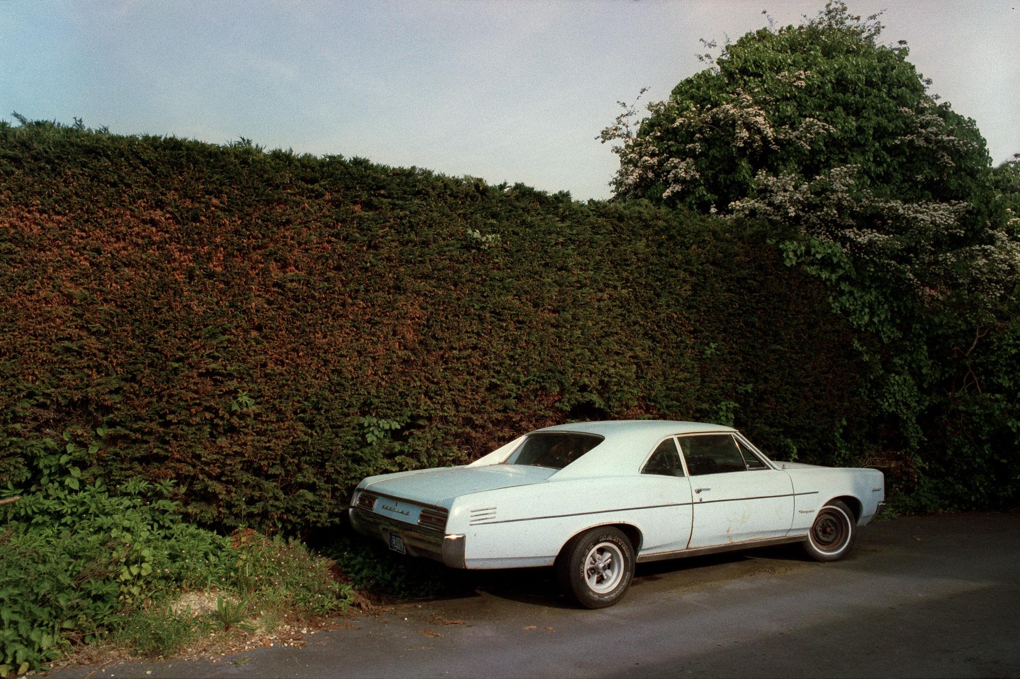 Image from article titled: Should Canon and Nikon return to their film roots?