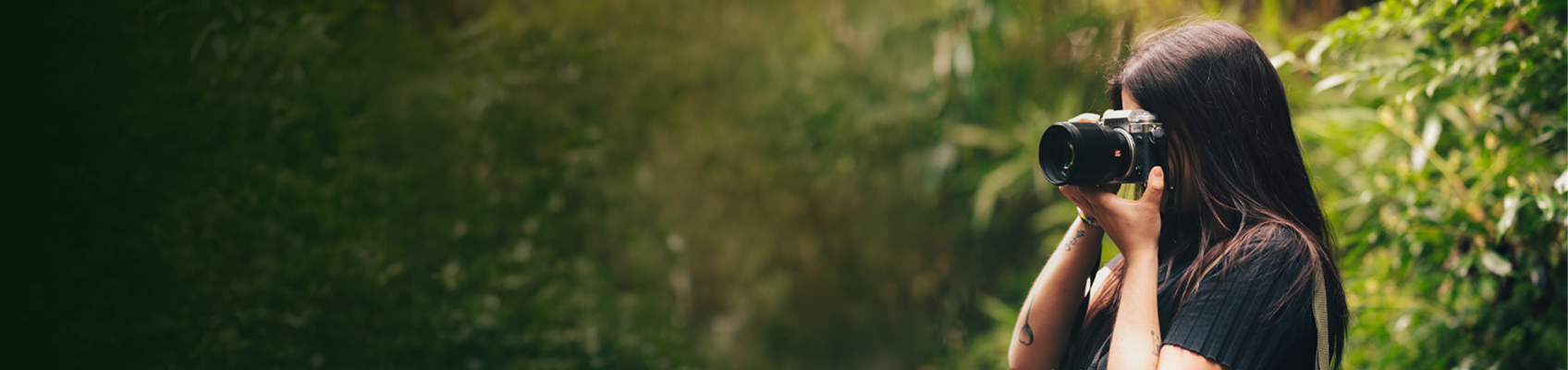 Blog - Top Image.png