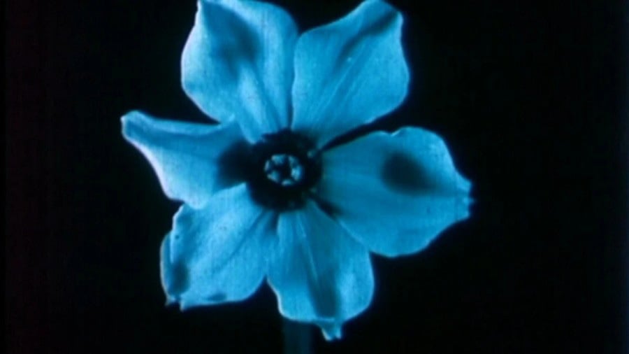 The Birth of a Flower, 1910