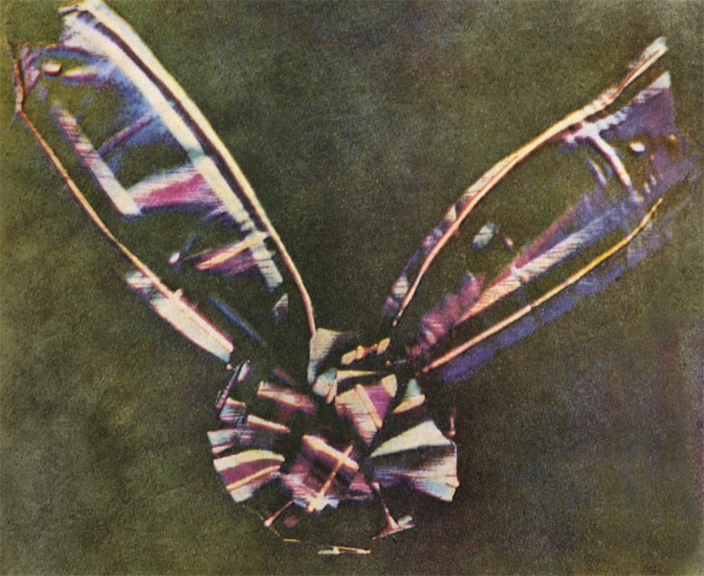 Tartan Ribbon, 1861