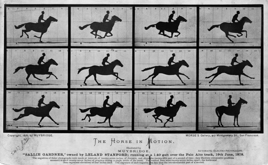 The Horse in Motion, 1878