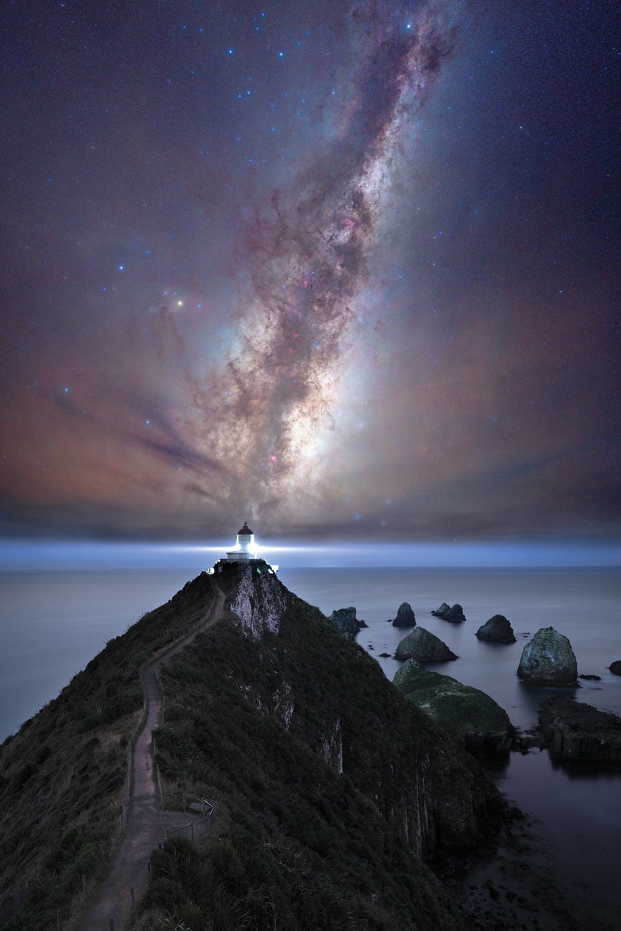 Nugget Point, New Zealand