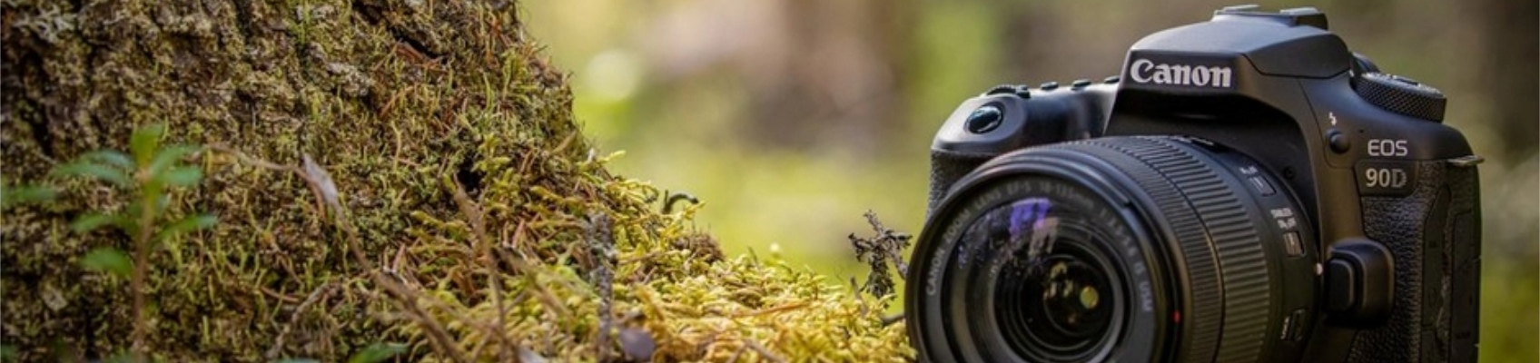 © Wex Photo Video Wex Blog - Top Image eos 90d.jpg
