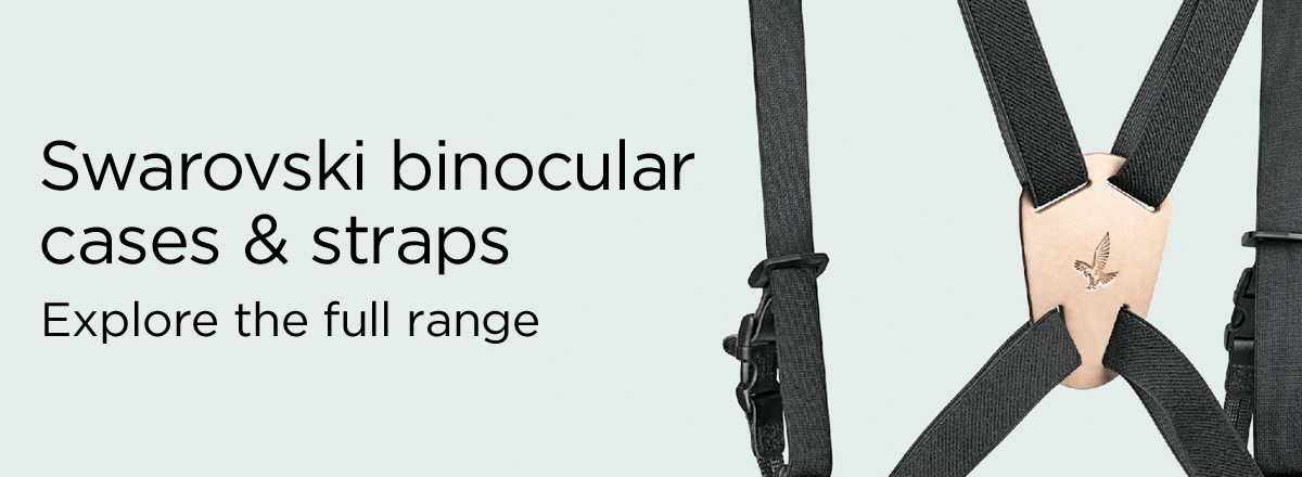 Swarovski Cases and Straps