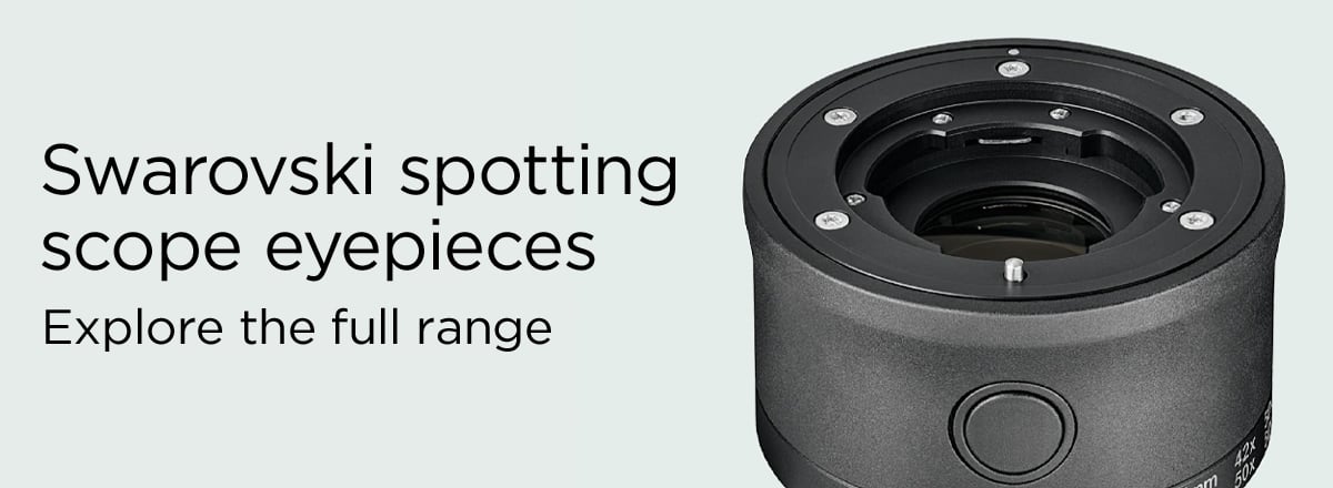 Swarovski Spotting Scope Eyepieces