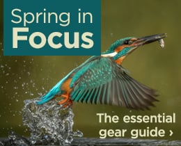 Spring in Focus