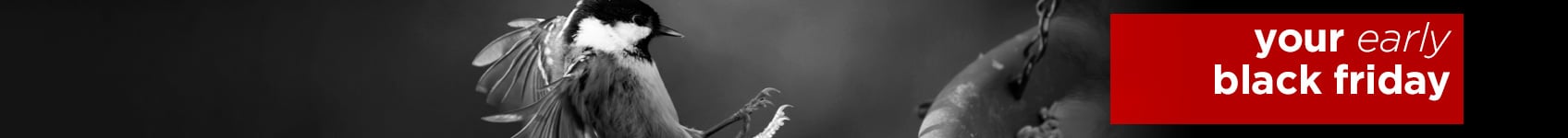 Black Friday 2025