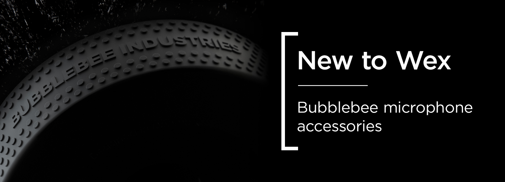 Bubblebee-Intro-H-150323 new new.jpg