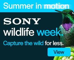 Sony Wildlife Week