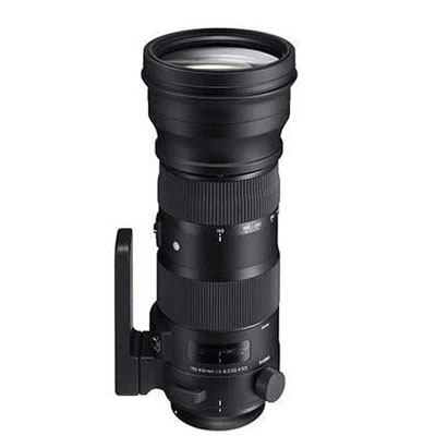 Sigma Nikon Fit Lenses