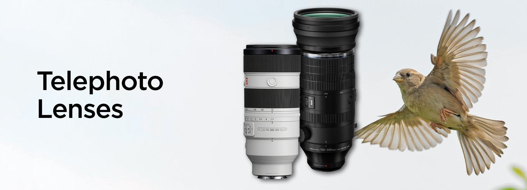© Wex Photo Video Telephoto-Generic-H.jpg