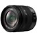 Panasonic GF1 Black Digital Camera with 14-45mm Lens plus Free System Bag and 2GB Memory Card