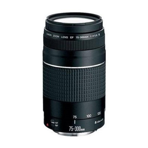 Used Canon EF 75-300mm f4-5.6 III Lens