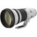 Canon EF 400mm f2.8 L IS II USM Lens