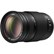 Panasonic 100-300mm f4.0-5.6 LUMIX G Vario Lens - Micro Four Thirds Fit