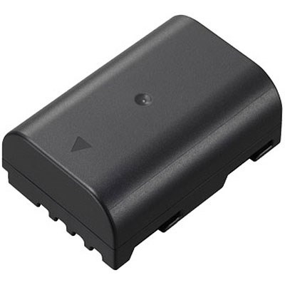 Panasonic DMW-BLF19 Battery Pack No Box