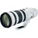 Canon EF 200-400mm f4 L IS USM with Internal 1.4x Extender Lens