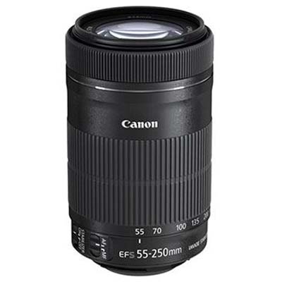 Canon EF-S 55-250mm f4-5.6 IS STM Lens