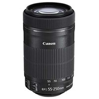 Canon EF-S 55-250mm f4-5.6 IS STM Lens