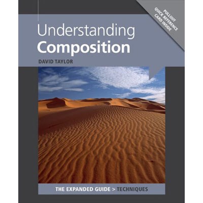 The Expanded Guide - Understanding Composition