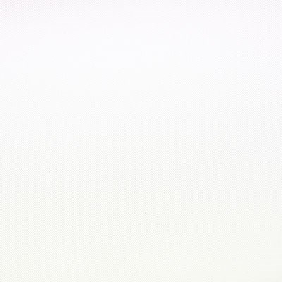 WexPro 3m x 6m Vinyl Background - White