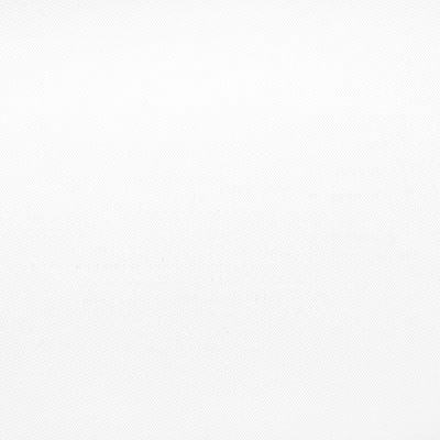 WexPro 2m x 6m Vinyl Background - White
