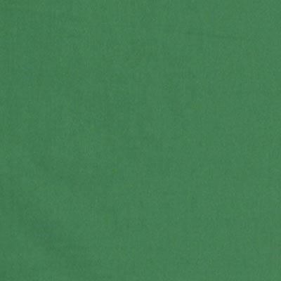 Calumet On-Site Chromakey Green Muslin Background - 2.4 x 2.4m