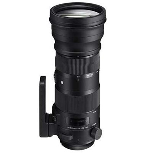 Sigma 150-600mm f5-6.3 SPORT DG OS HSM Lens - Nikon Fit