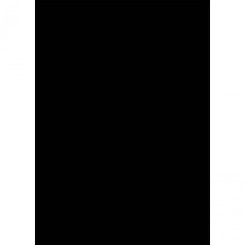 Westcott Basics X-Drop Background Cloth - Black