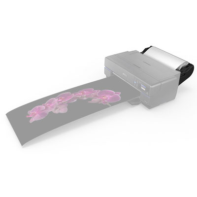 Epson Roll Media Feed for P800