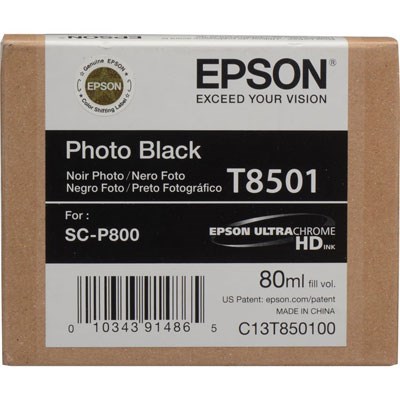 Epson T850100 Photo Black Ink Cartridge