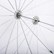 Interfit 51 inch White Parabolic Umbrella