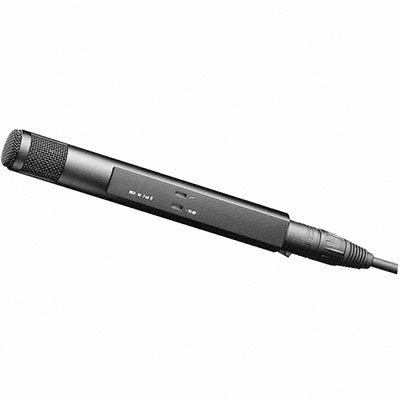 Sennheiser MKH 30-P48 RF Condenser Microphone