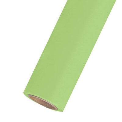 Calumet Summer Green 2.72m x 11m Seamless Background Paper