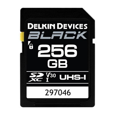 Delkin BLACK 256GB UHS-I V30 U3 90MB/s SDXC Card