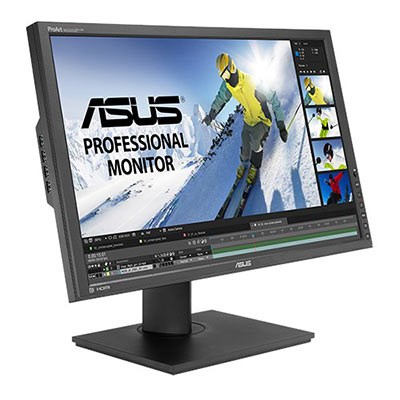 ASUS ProArt PA248Q Professional Monitor - 24 Inch