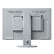EIZO FlexScan EV2430 23 Inch Monitor - Grey