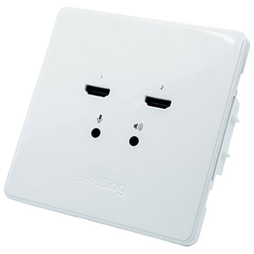 BirdDog Wallplate Dual Input
