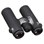 Swarovski CL Companion 10x30 Binoculars - Anthracite - Northern Lights Image 1