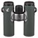 Swarovski CL Companion 10x30 Binoculars - Green - Urban Jungle